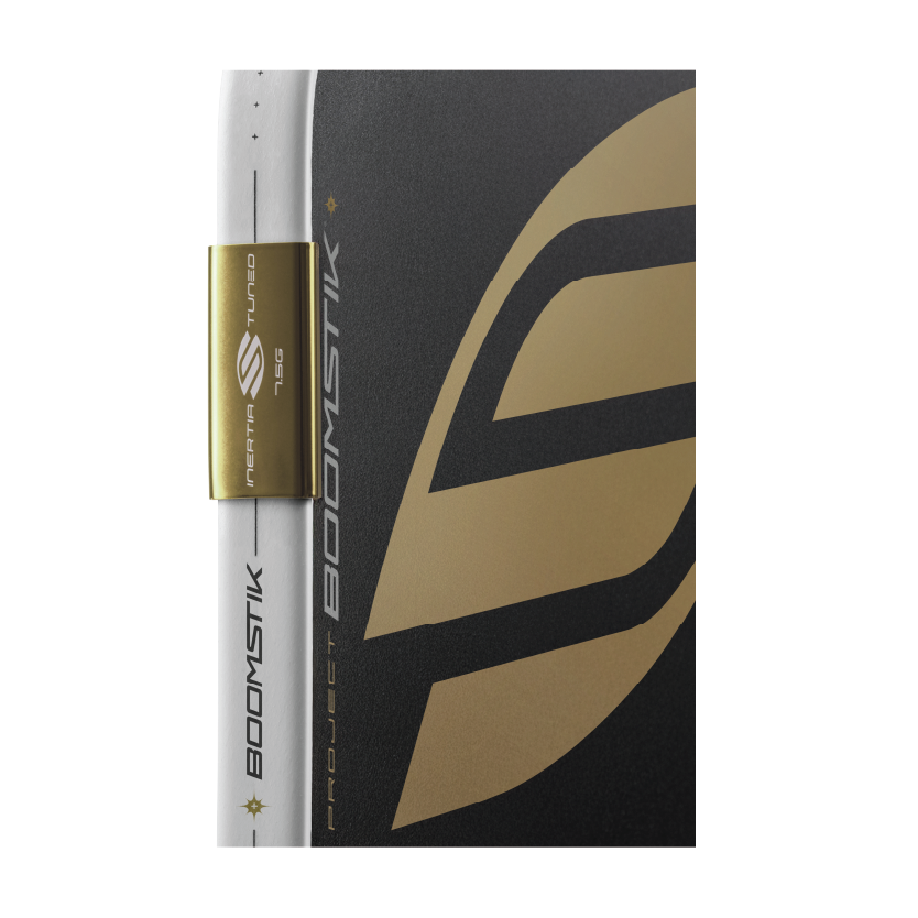 Selkirk AMPED Invikta Midweight view 1